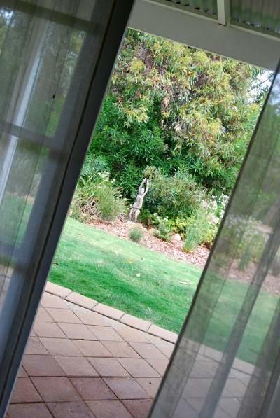 Llewellin'S Guest House Margaret River المظهر الخارجي الصورة
